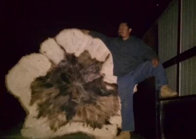 Dependable tree service