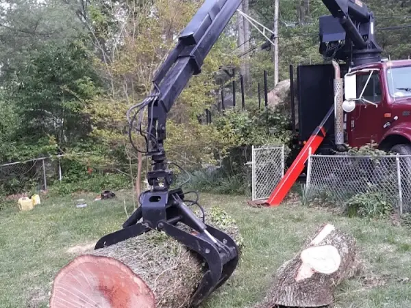 Emergency Tree Service Emergency Tree Service