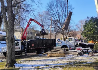 Reliable tree maintenance