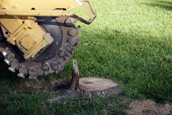 Stump Grinding Stump Grinding