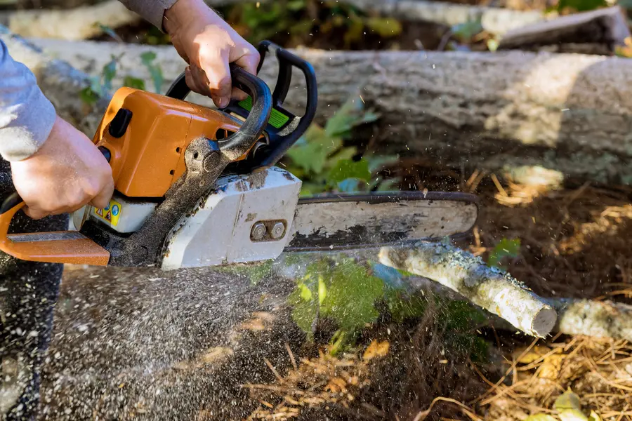 Excellent Emergency Tree Service Silver Spring, MD