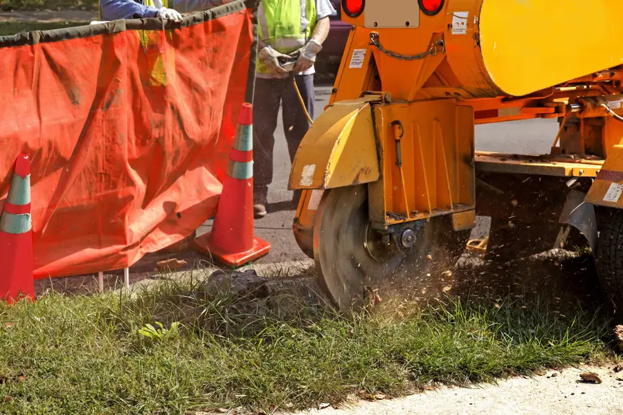 Expert Stump Grinding Silver Spring, MD Expert Stump Grinding Silver Spring, MD