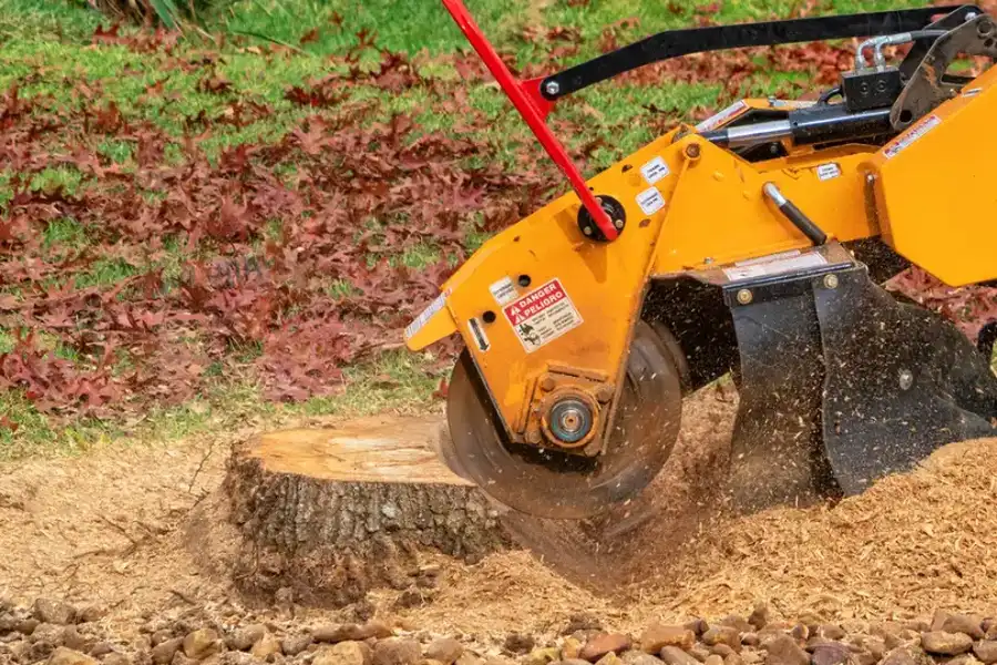 Premium Stump Grinding Silver Spring, MD Premium Stump Grinding Silver Spring, MD