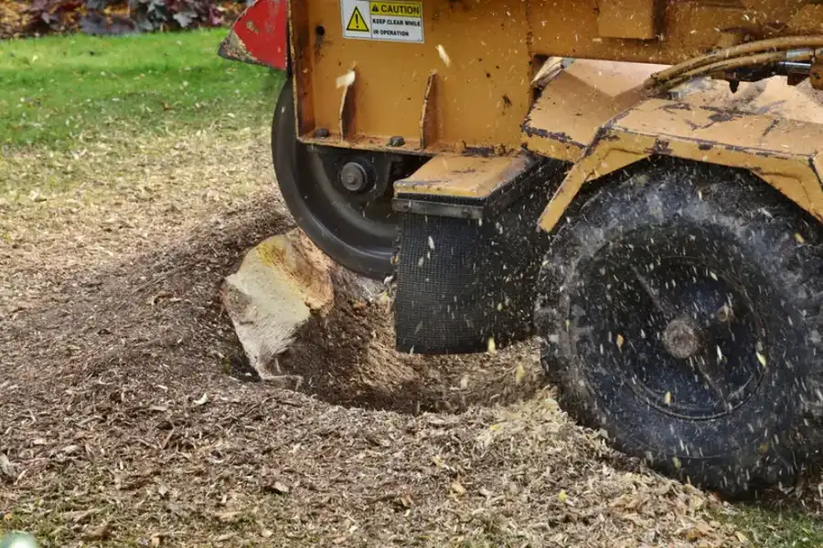 The Benefits Of Stump Grinding Over Leaving Stumps Behind in Silver Spring, MD The Benefits Of Stump Grinding Over Leaving Stumps Behind in Silver Spring, MD